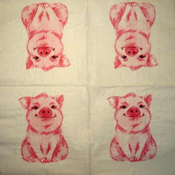 080 Pigs - 3-ply - Nouveau